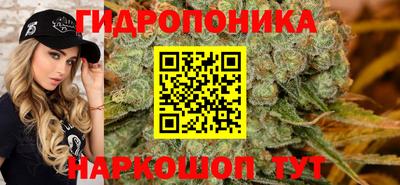 крисы Партизанск