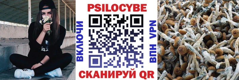 Галлюциногенные грибы прущие грибы  KRAKEN зеркало  Дальнегорск 