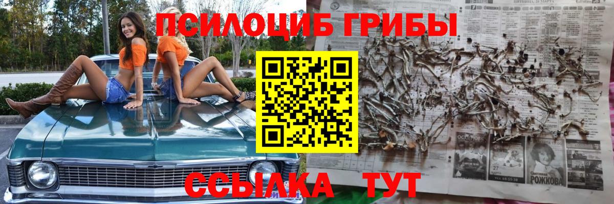 Галлюциногенные грибы мицелий  Галлюциногенные грибы Cubensis  Дальнегорск  Вход с VPN 